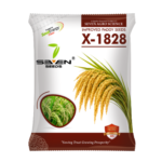 Seven Seeds X-1828 – Improved Paddy Seeds