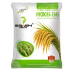 Seven Seeds HYCROSS-1545 Hybrid Paddy Seeds – Premium High-Yield Hybrid Rice Seeds