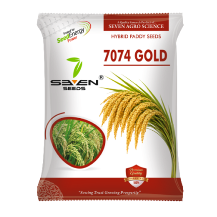 Seven Seeds 7074 Gold – Premium Hybrid Paddy Seeds